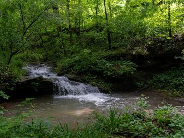 TBD Long Run Road, Worthington, WV 26591