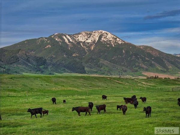 536 Ranger Station, SWAN VALLEY, ID 83449