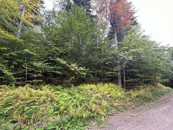 0 Manley Phelps Road, Monroe, MA 01350
