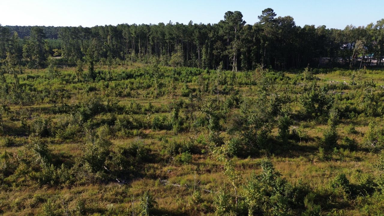 0 Stable Lane Photo 11