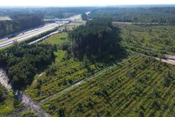 0 Stable Lane photo 4