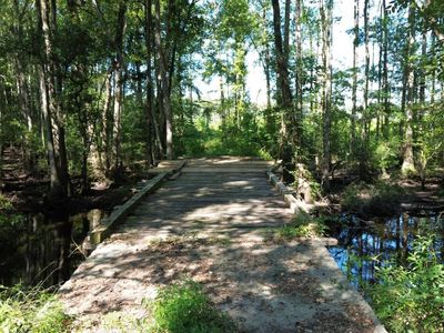0 Lowcountry Highway, Ruffin, SC 29475
