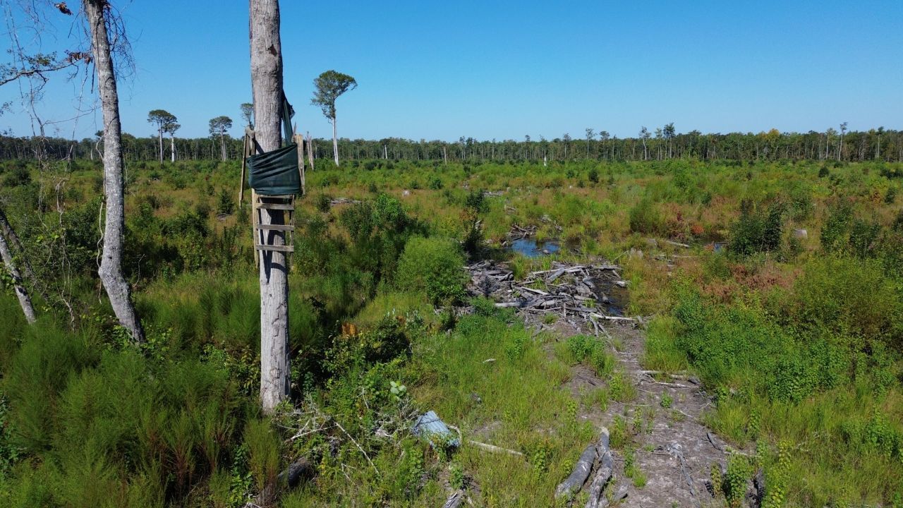 0 Lowcountry Highway Photo 11