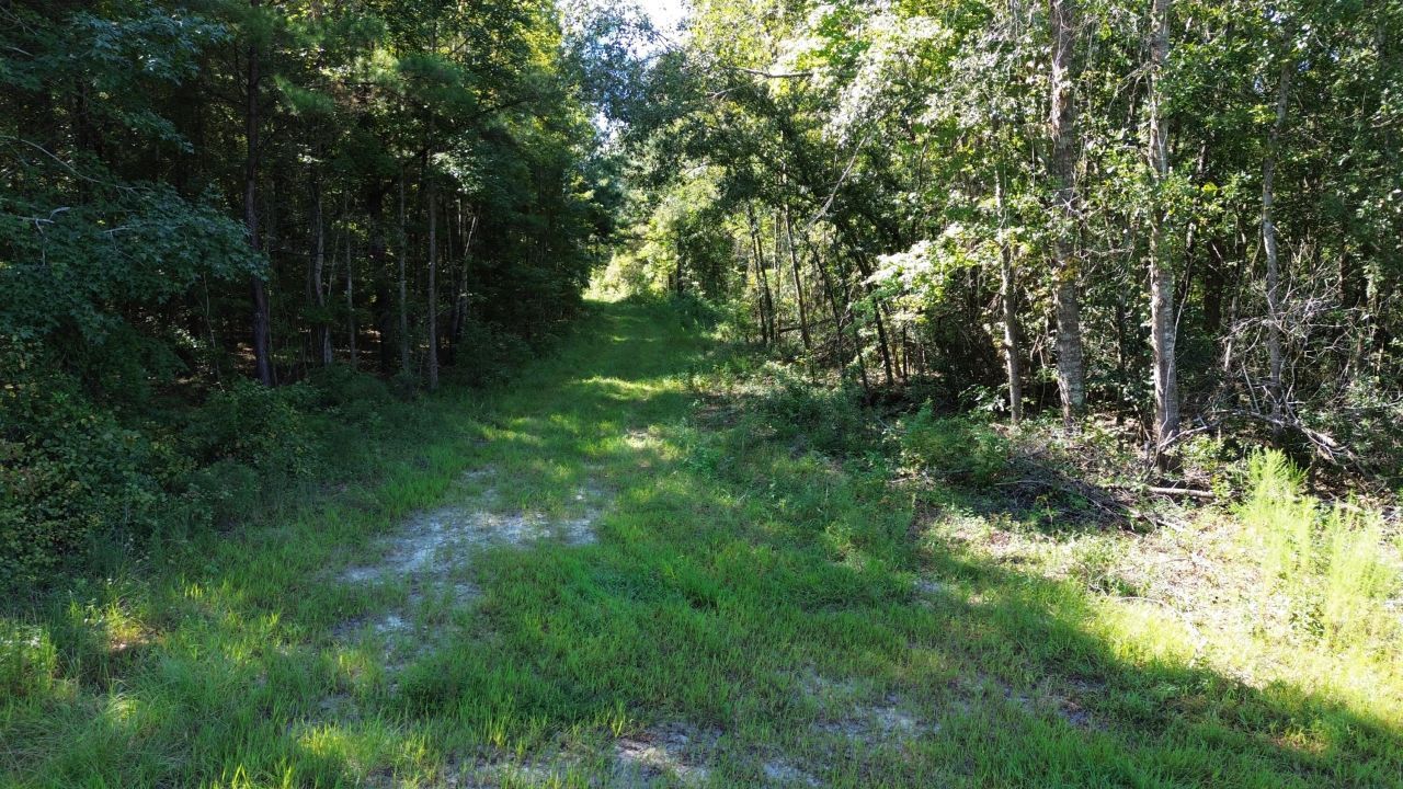 0 Lowcountry Highway Photo 12