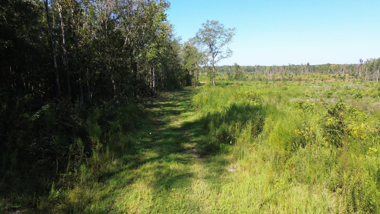 0 Lowcountry Highway Photo 13