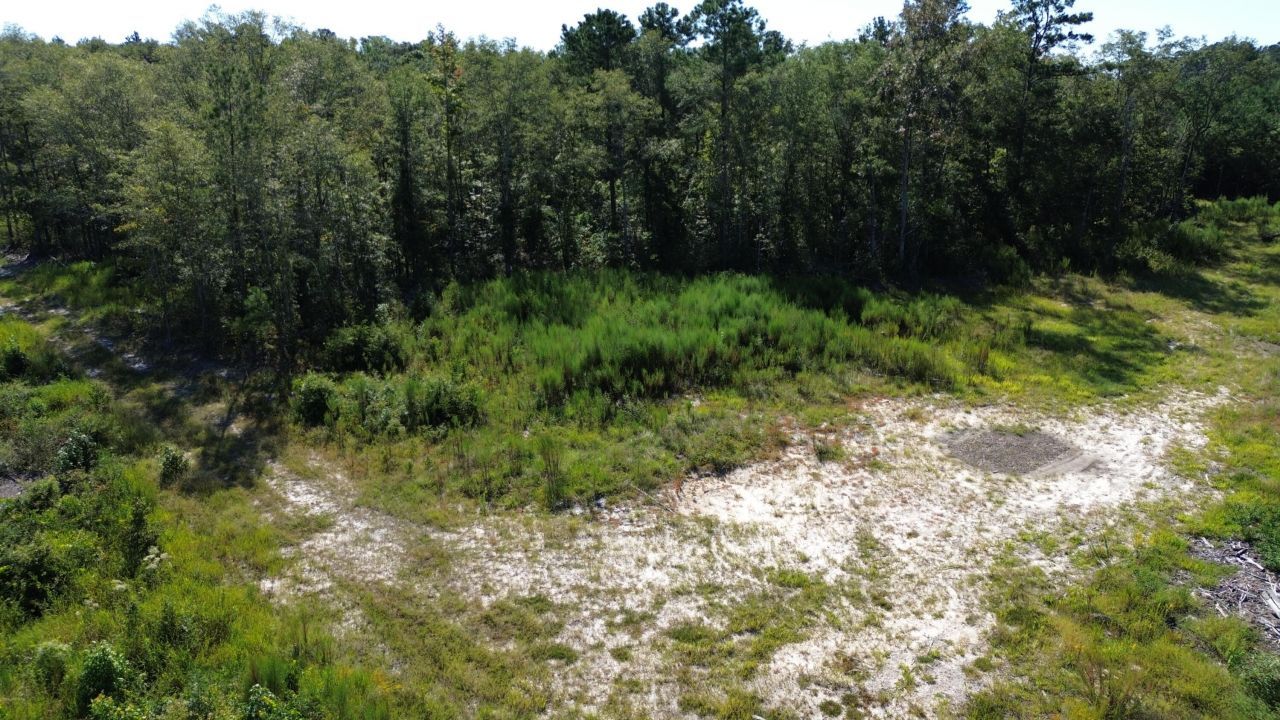 0 Lowcountry Highway Photo 15