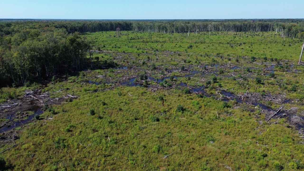 0 Lowcountry Highway Photo 18
