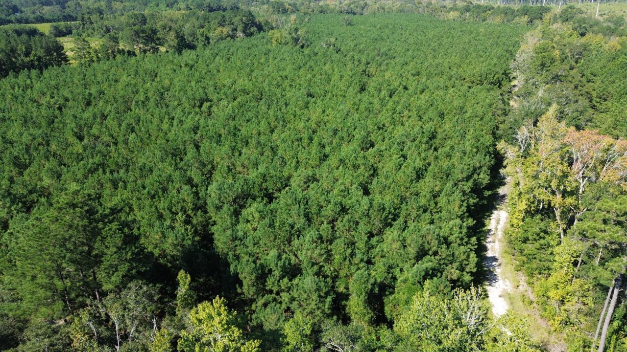 0 Lowcountry Highway Photo 2