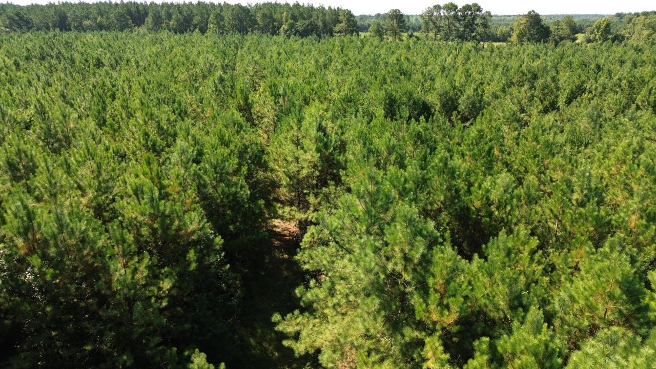 0 Lowcountry Highway Photo 22