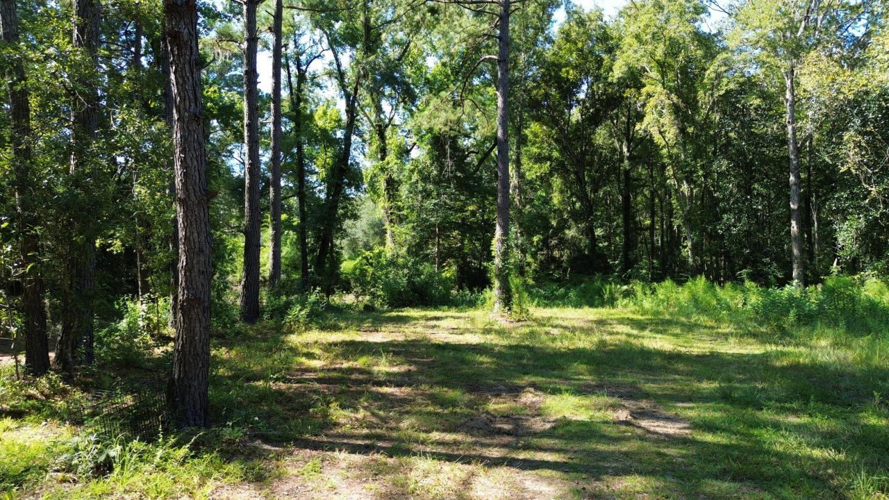 0 Lowcountry Highway Photo 29