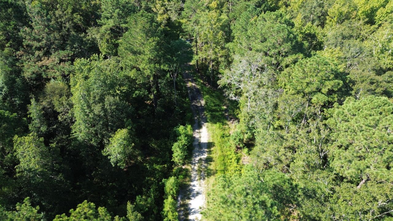 0 Lowcountry Highway Photo 3