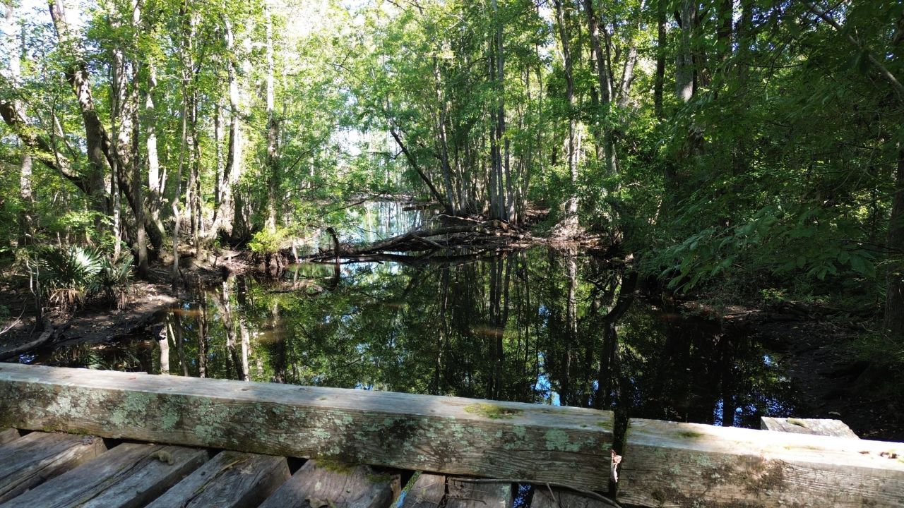 0 Lowcountry Highway Photo 30