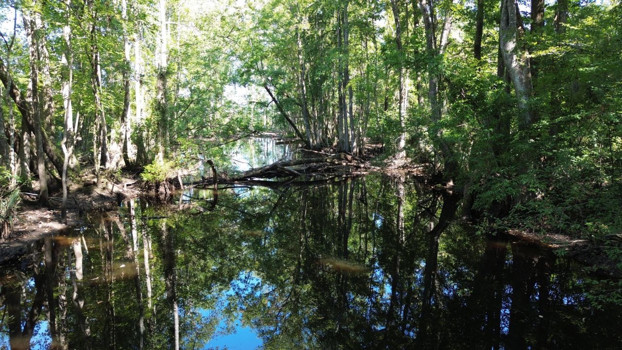 0 Lowcountry Highway Photo 31