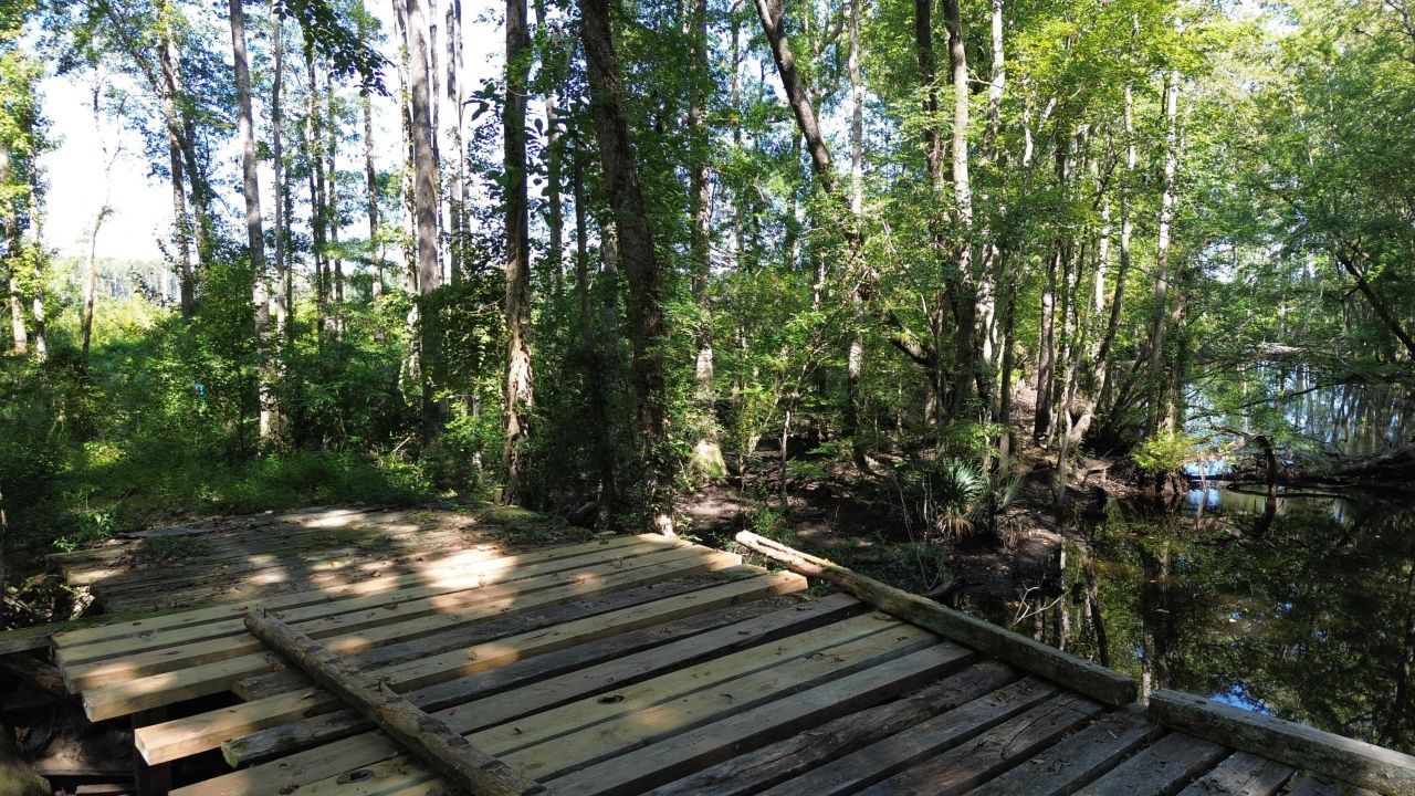 0 Lowcountry Highway Photo 32