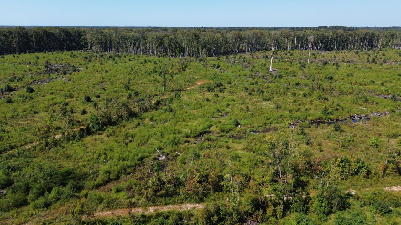 0 Lowcountry Highway Photo 39