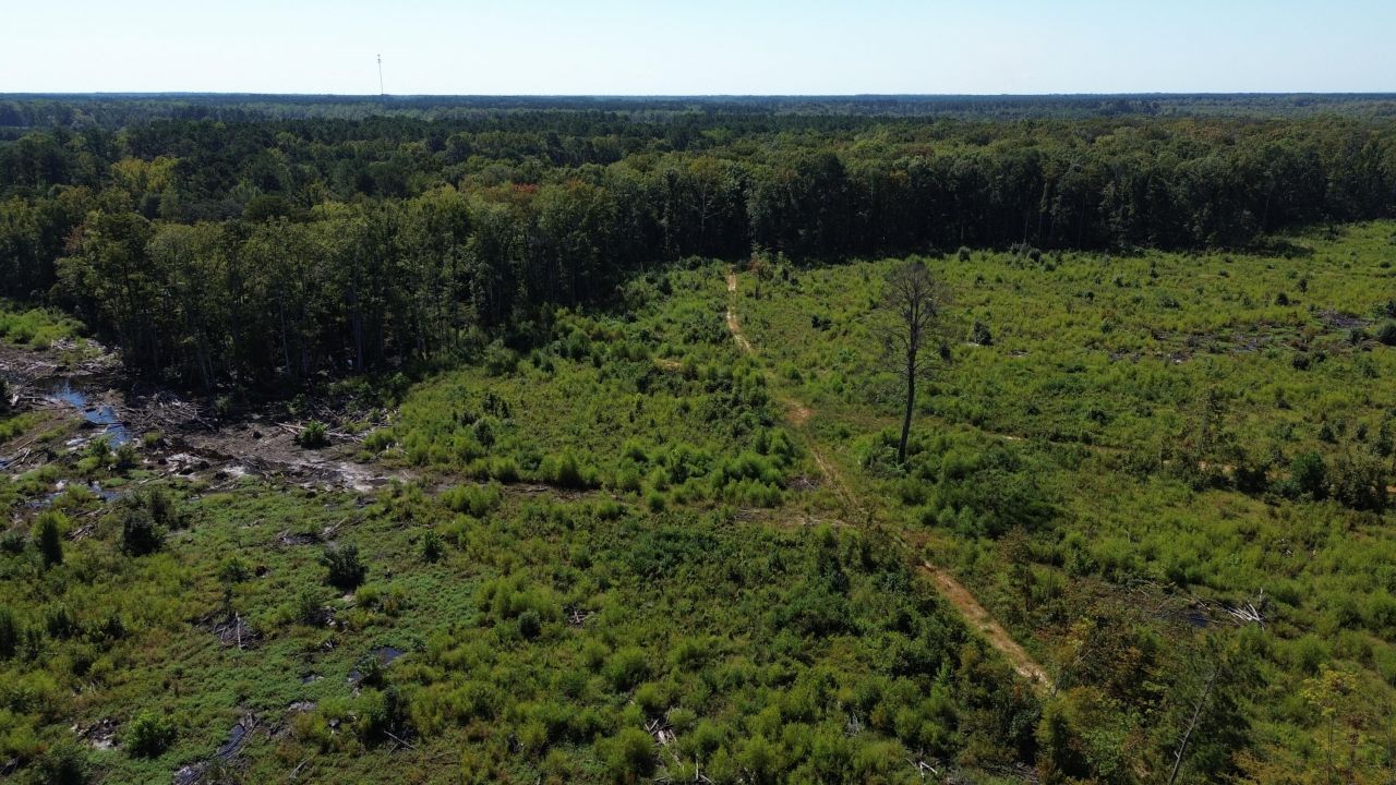 0 Lowcountry Highway Photo 41