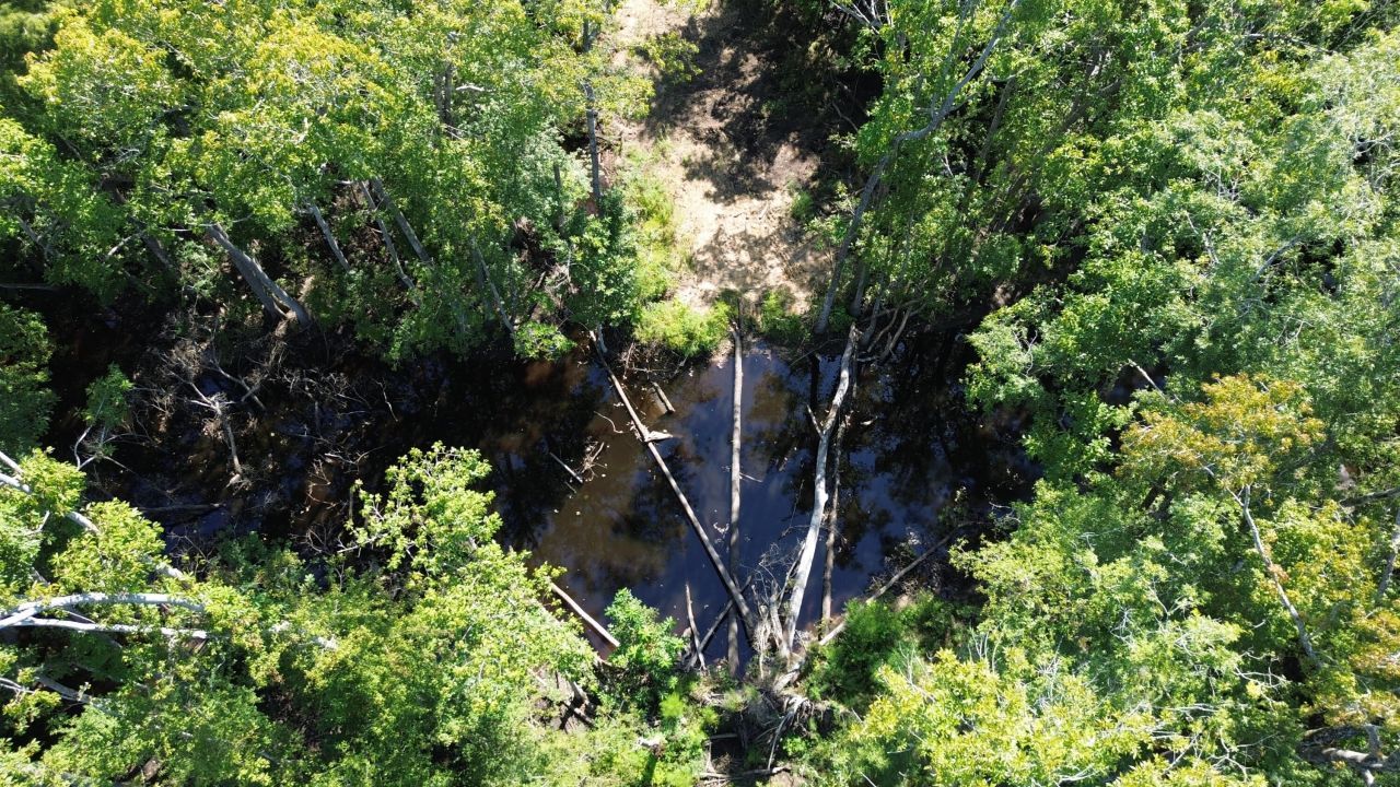 0 Lowcountry Highway Photo 45