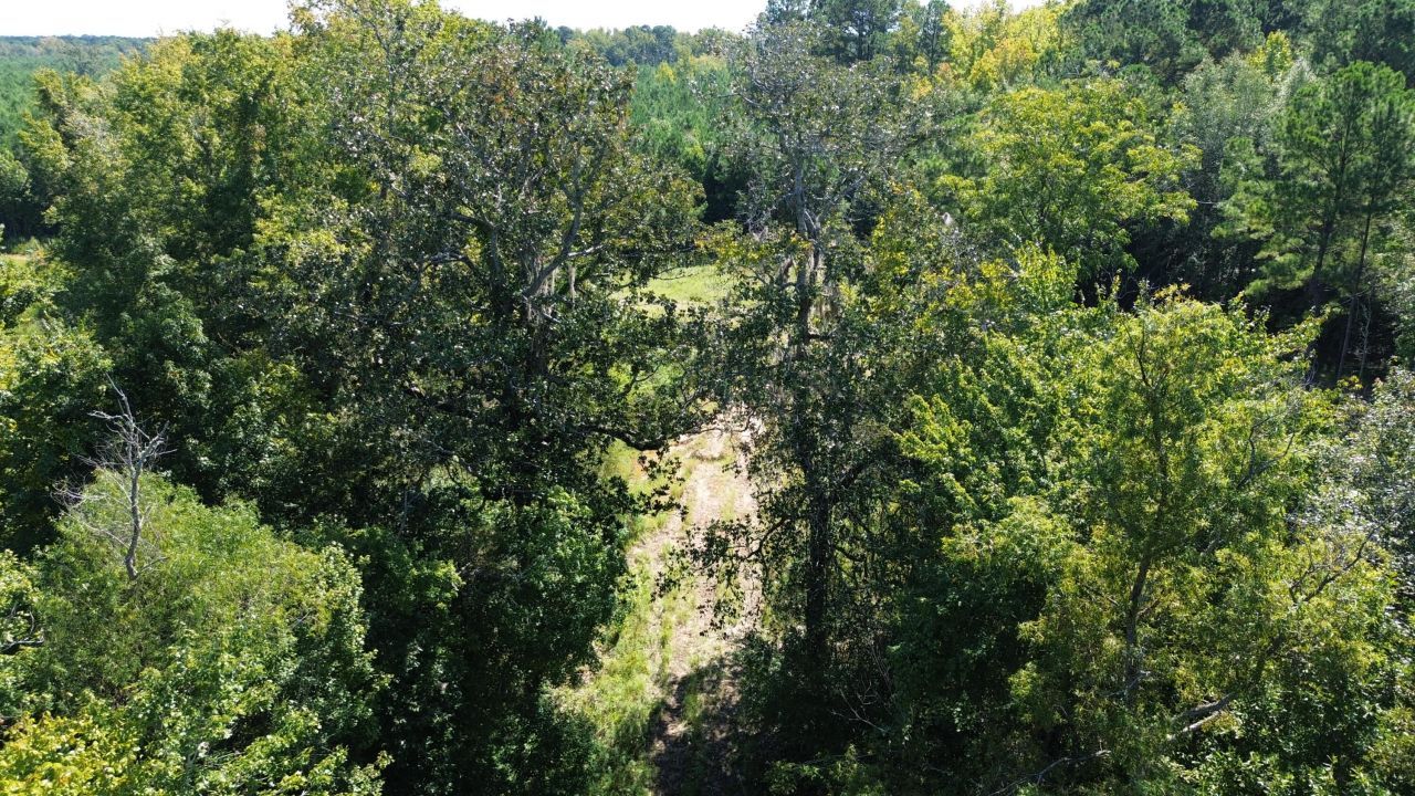 0 Lowcountry Highway Photo 46