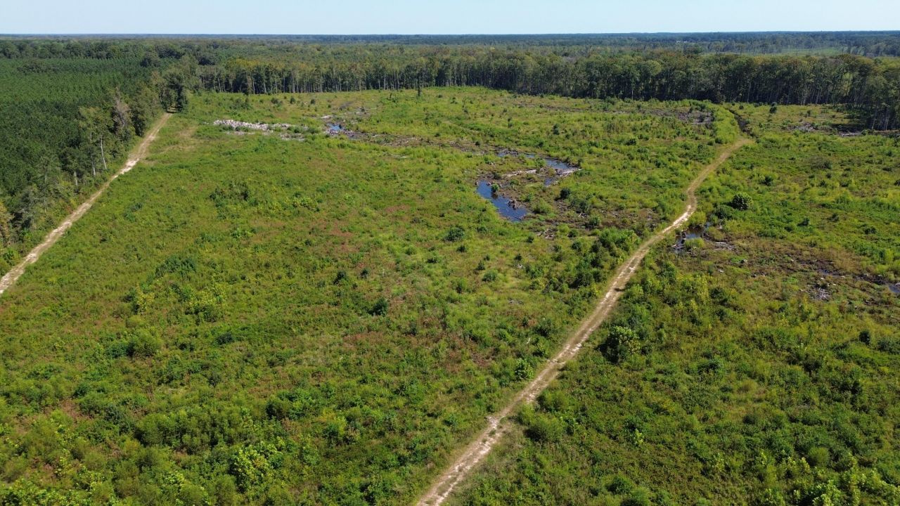 0 Lowcountry Highway Photo 50