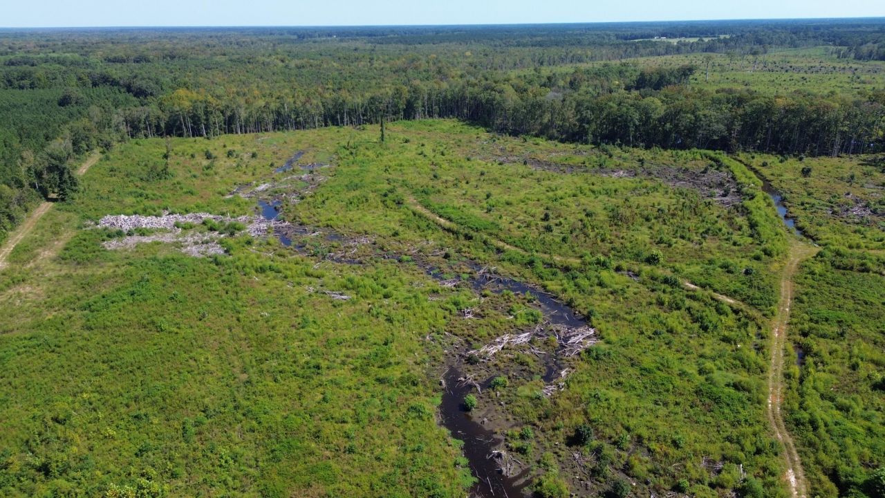 0 Lowcountry Highway Photo 51