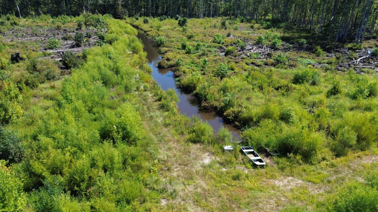 0 Lowcountry Highway Photo 60