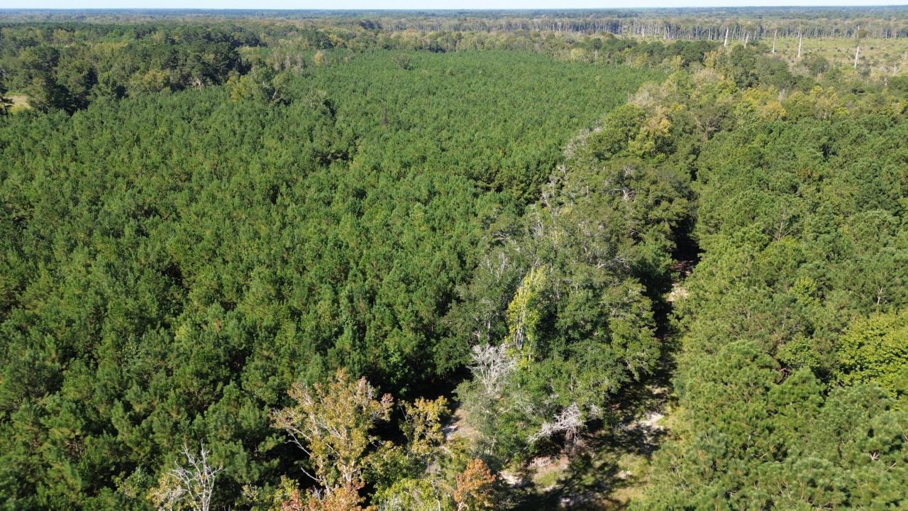 0 Lowcountry Highway Photo 9