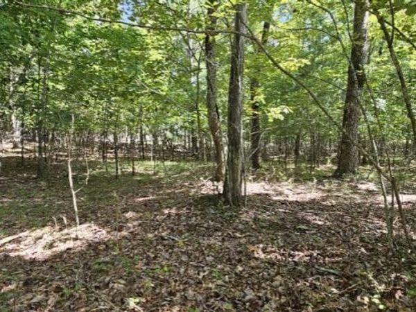 Lot 327 2 Lake Trl, Dunlap, TN 37327