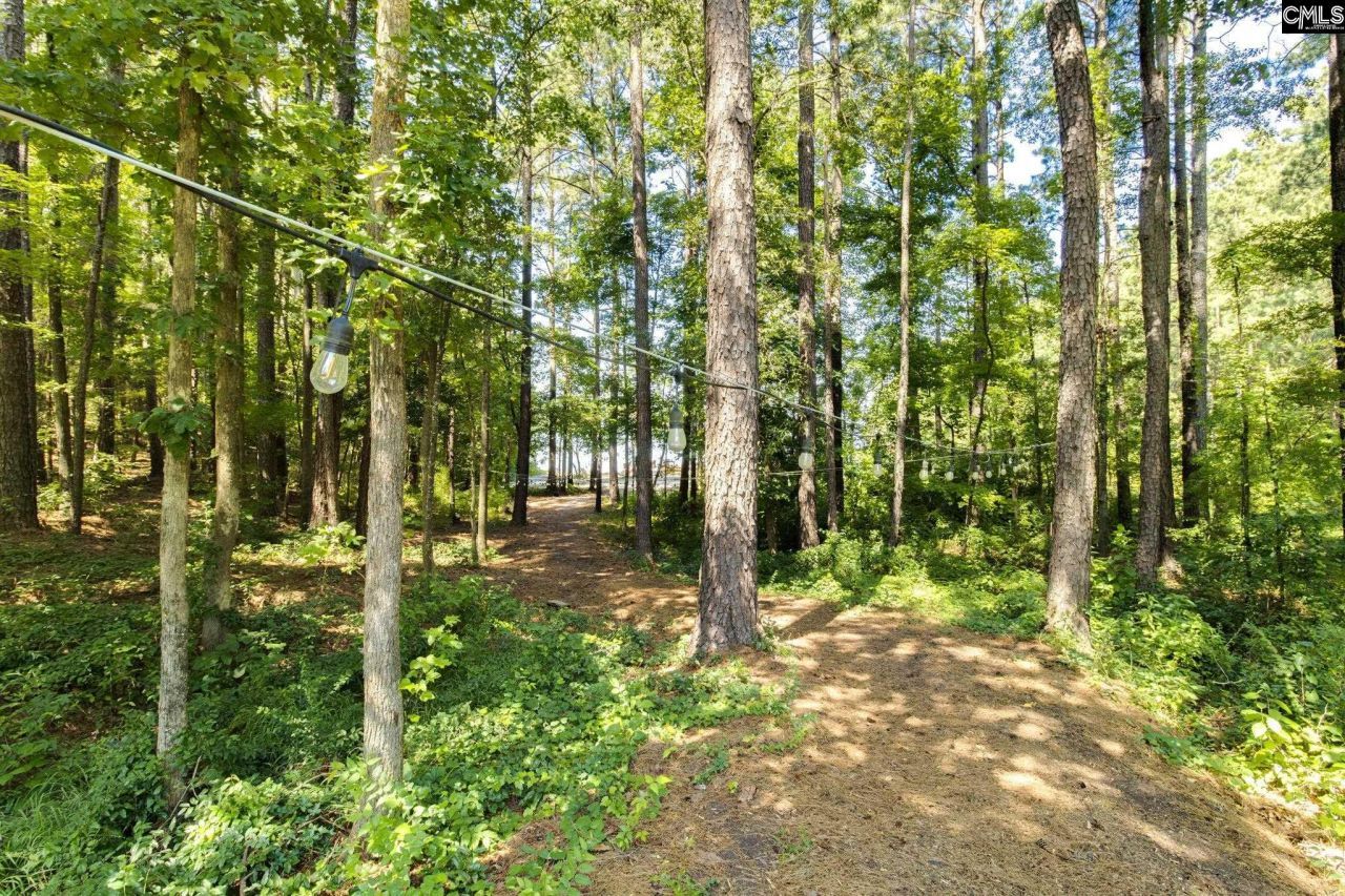 7640 State Hwy 215 Photo 33