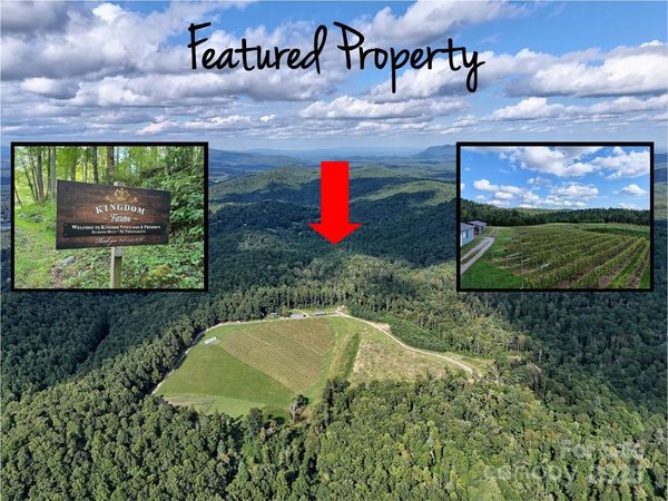 781 Payne Drive, Zirconia, NC 28790