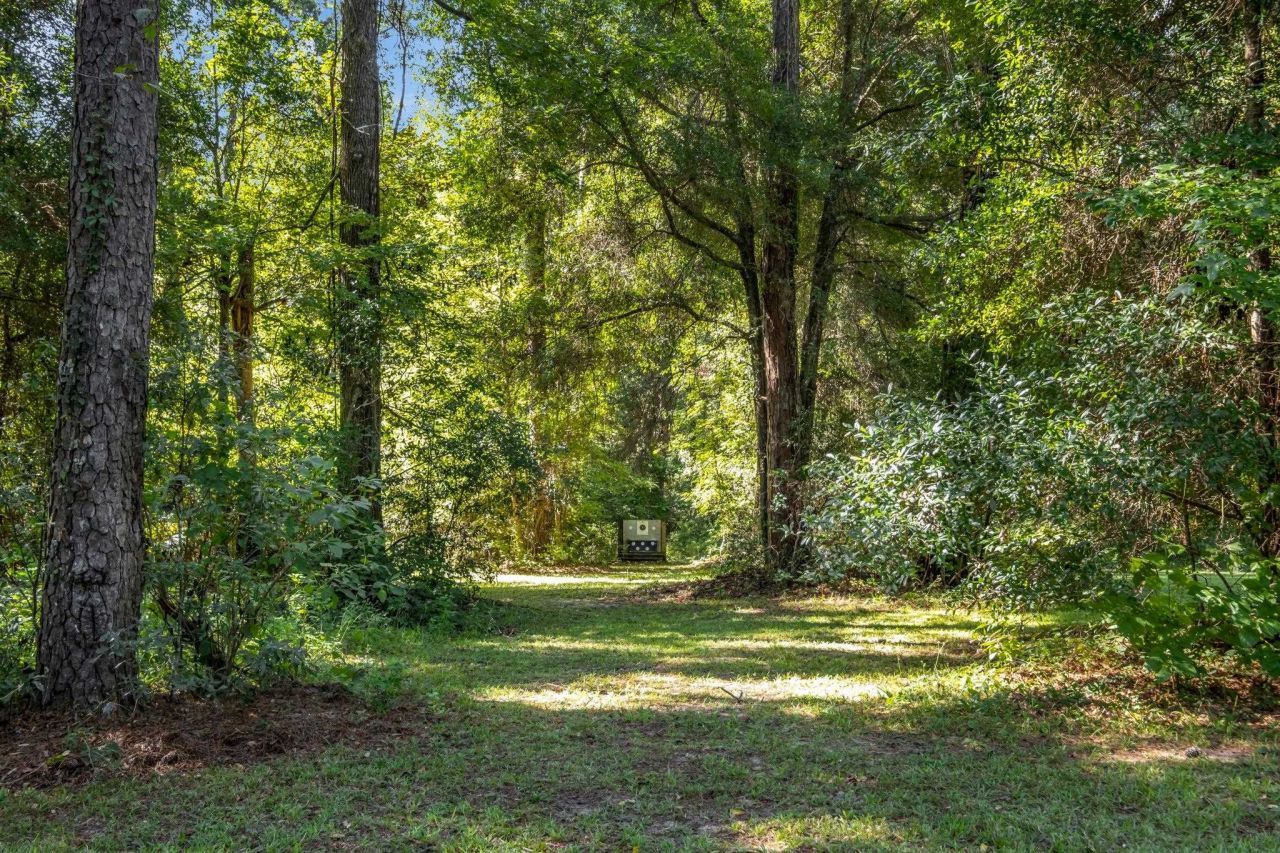 122 Wiregrass Lane, Quincy, FL 32351 Photo