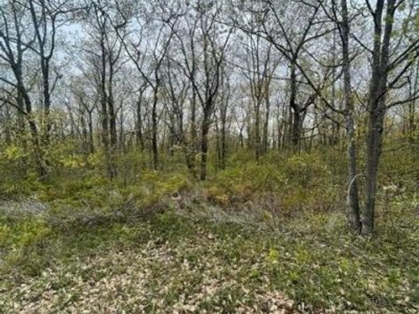 Lot 130 Highland Pines Road, Presque Isle, MI 49777