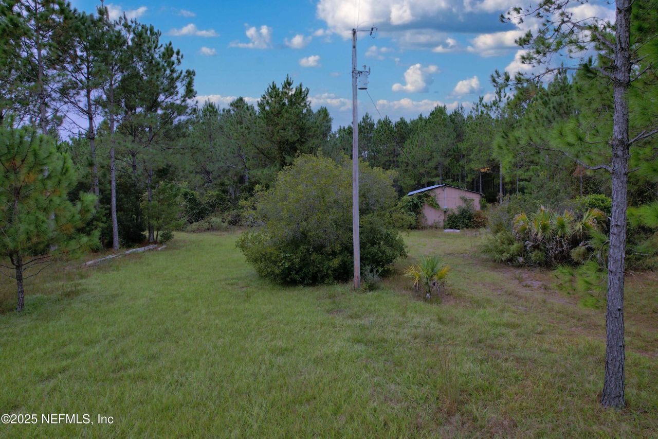 139 Lakeway Drive, Georgetown, FL 32139 Photo