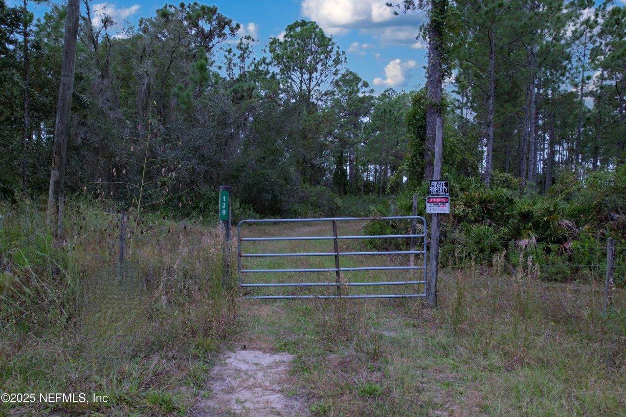 139 Lakeway Drive, Georgetown, FL 32139 Photo