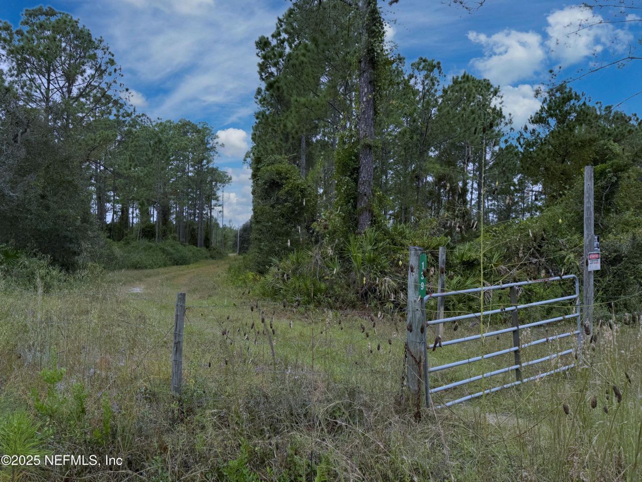 139 Lakeway Drive, Georgetown, FL 32139 Photo