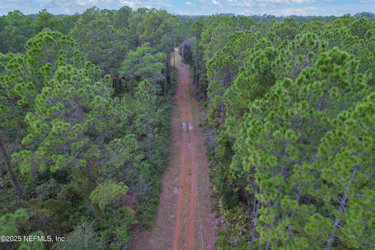 139 Lakeway Drive, Georgetown, FL 32139 Photo