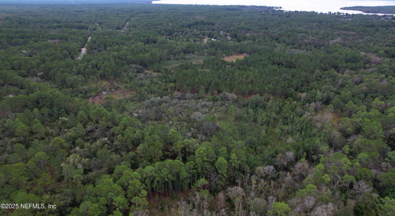 139 Lakeway Drive, Georgetown, FL 32139 Photo