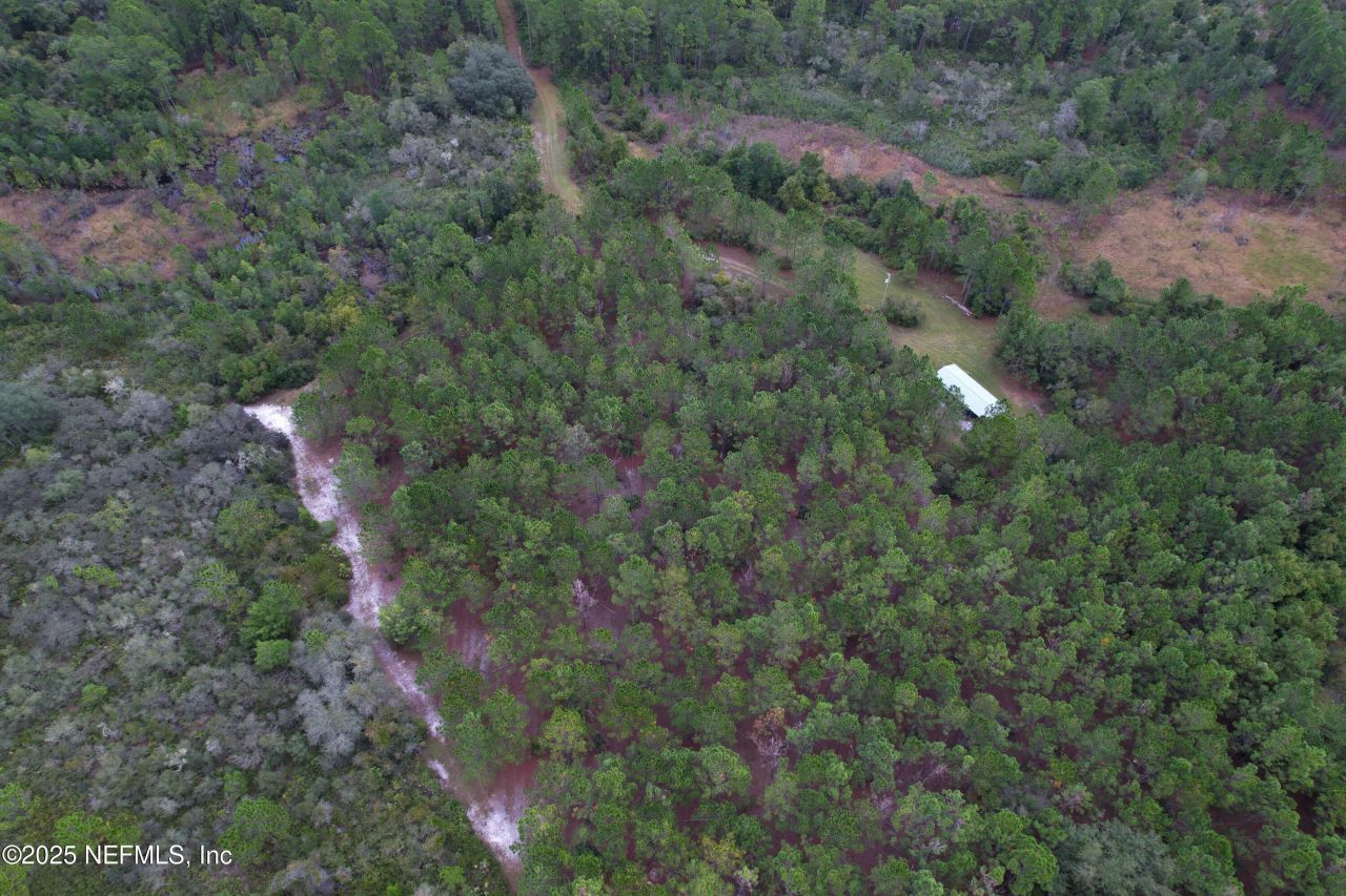 139 Lakeway Drive, Georgetown, FL 32139 Photo