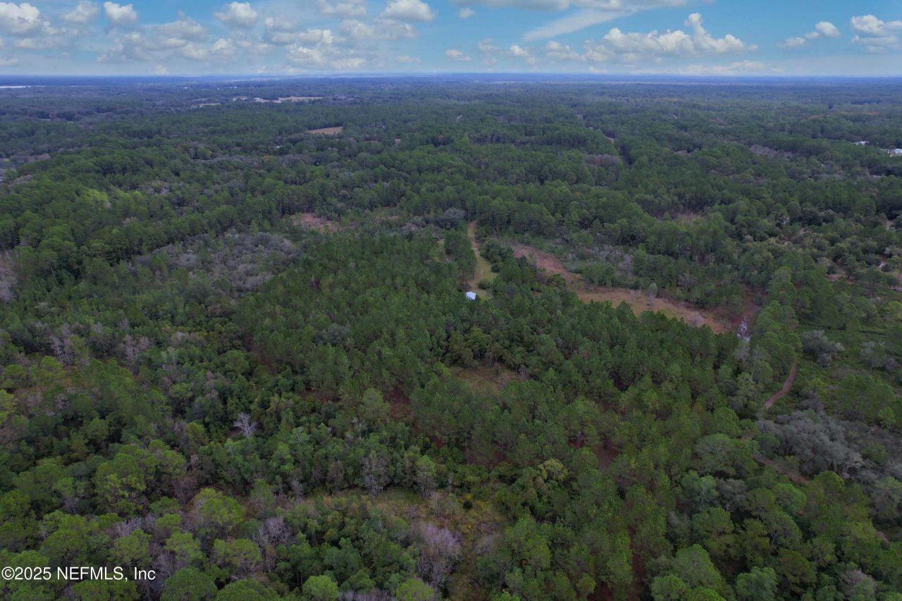 139 Lakeway Drive, Georgetown, FL 32139 Photo