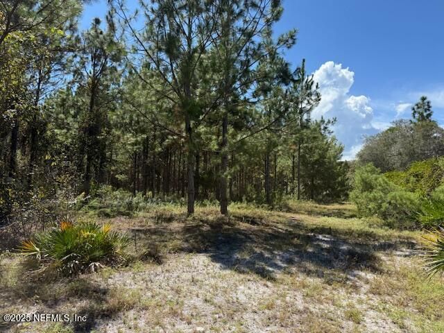 139 Lakeway Drive, Georgetown, FL 32139 Photo