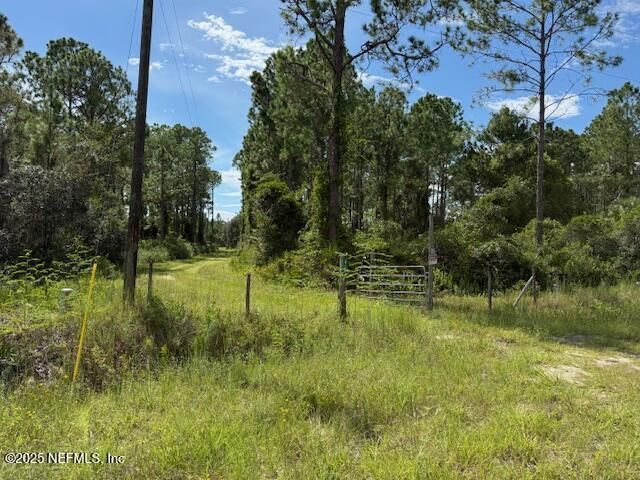 139 Lakeway Drive, Georgetown, FL 32139 Photo