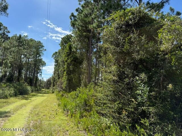 139 Lakeway Drive, Georgetown, FL 32139 Photo