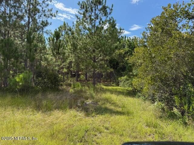 139 Lakeway Drive, Georgetown, FL 32139 Photo