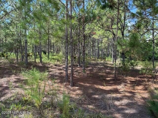 139 Lakeway Drive, Georgetown, FL 32139 Photo