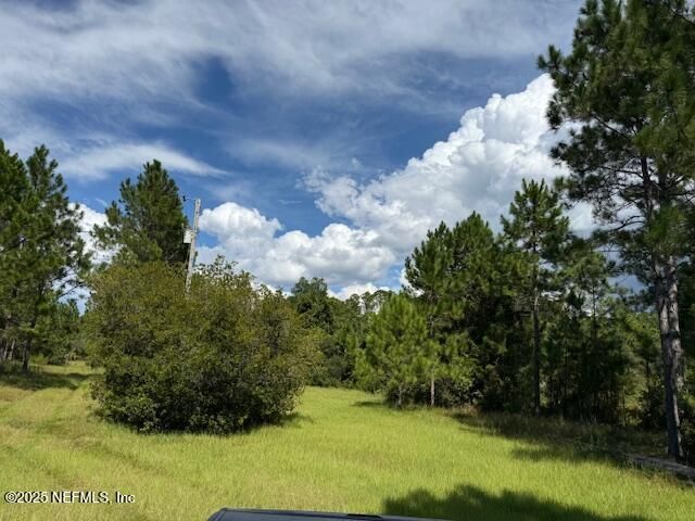 139 Lakeway Drive, Georgetown, FL 32139 Photo