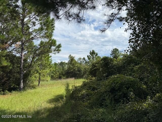 139 Lakeway Drive, Georgetown, FL 32139 Photo