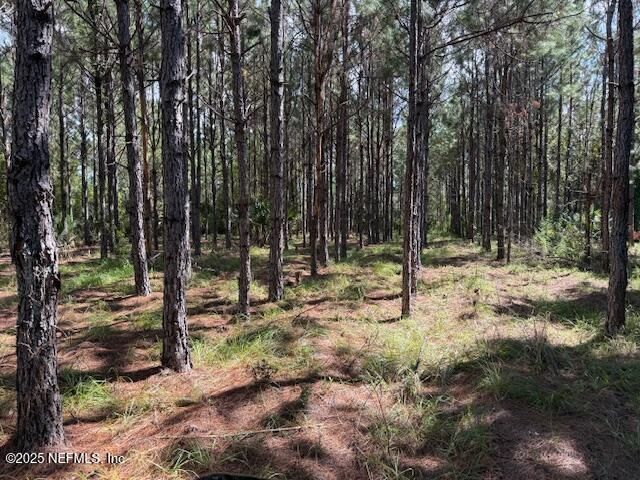 139 Lakeway Drive, Georgetown, FL 32139 Photo