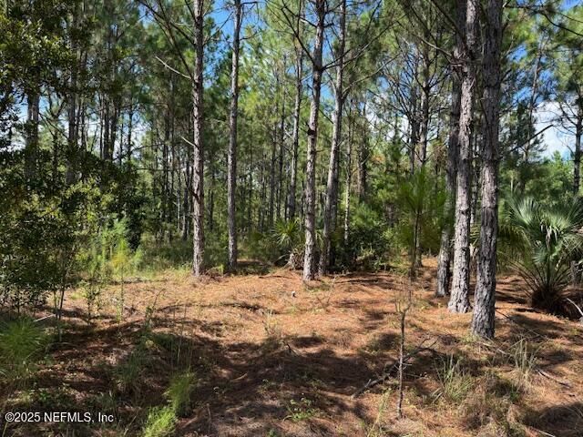 139 Lakeway Drive, Georgetown, FL 32139 Photo