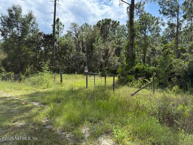 139 Lakeway Drive, Georgetown, FL 32139 Photo