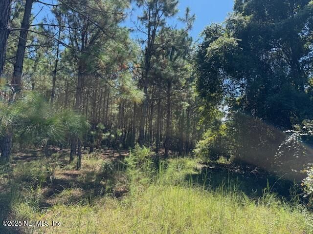 139 Lakeway Drive, Georgetown, FL 32139 Photo