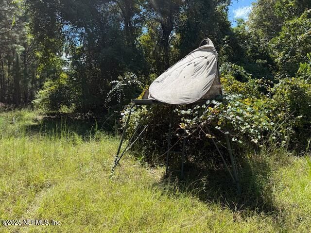 139 Lakeway Drive, Georgetown, FL 32139 Photo